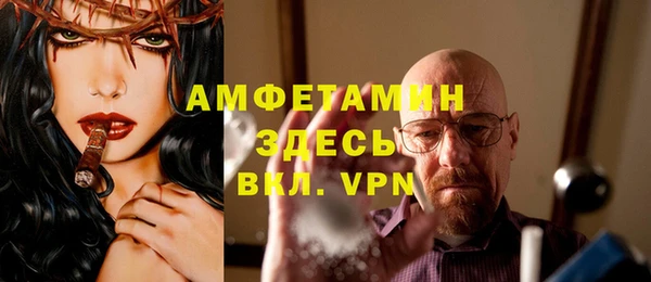 амф Новодвинск