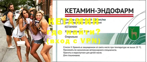 стаф Новозыбков
